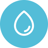 button (2)